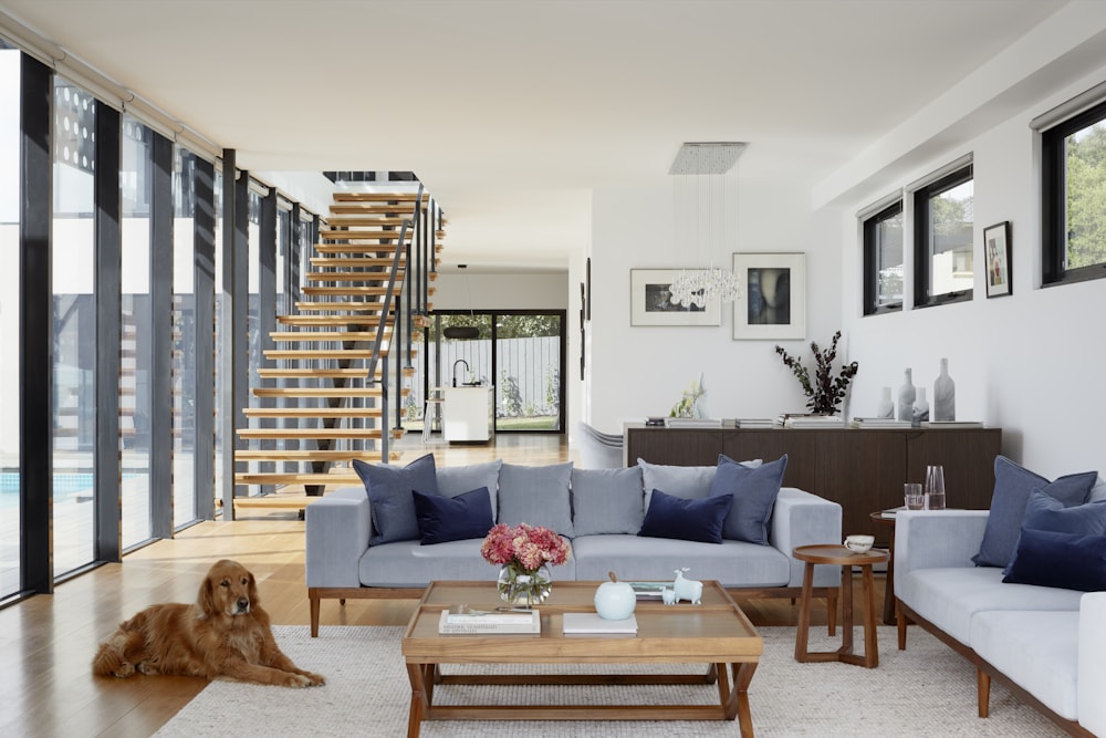 Luxury living room and kitchen